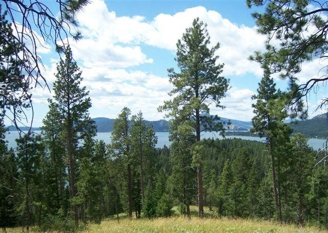 20536 Wild Horse Ranch Rd, Rollins, MT 59931 - mountain view with a forest