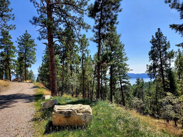 20536 Wild Horse Ranch Rd, Rollins, MT 59931 - view of road featuring a forest view and a mountain view