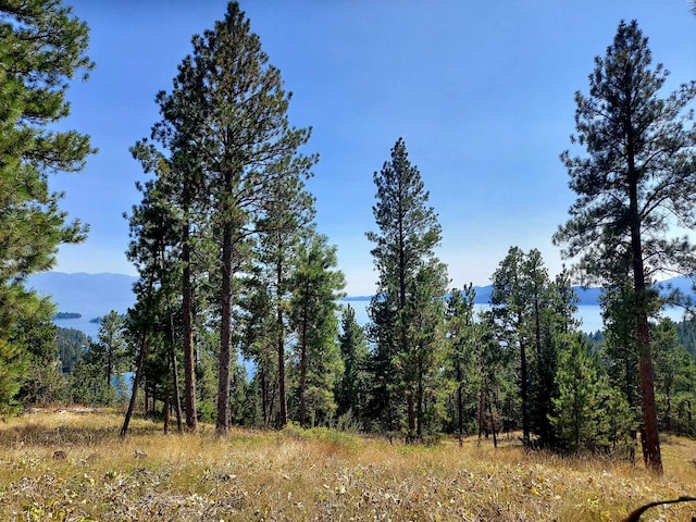 20536 Wild Horse Ranch Rd, Rollins, MT 59931 - view of wooded area with a mountain view