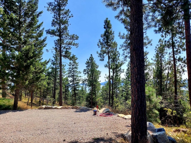 20536 Wild Horse Ranch Rd, Rollins, MT 59931 - view of yard featuring a forest view