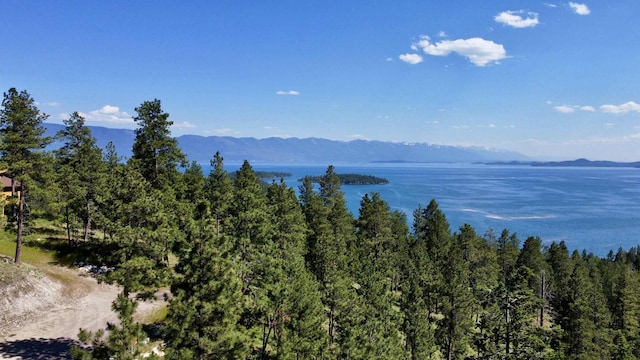 20536 Wild Horse Ranch Rd, Rollins, MT 59931 - water view featuring mountains