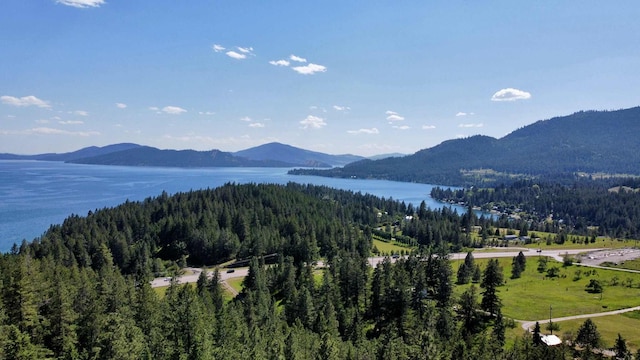 20536 Wild Horse Ranch Rd, Rollins, MT 59931 - view of mountain background featuring a forest and a large body of water