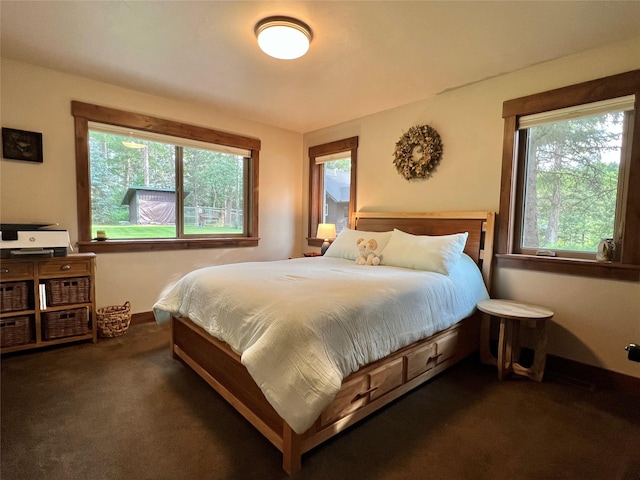 120 Chickadee Way, Whitefish, MT 59937 - bedroom with dark carpet and multiple windows