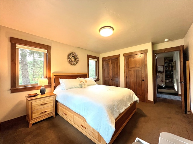 120 Chickadee Way, Whitefish, MT 59937 - bedroom with multiple closets and dark carpet