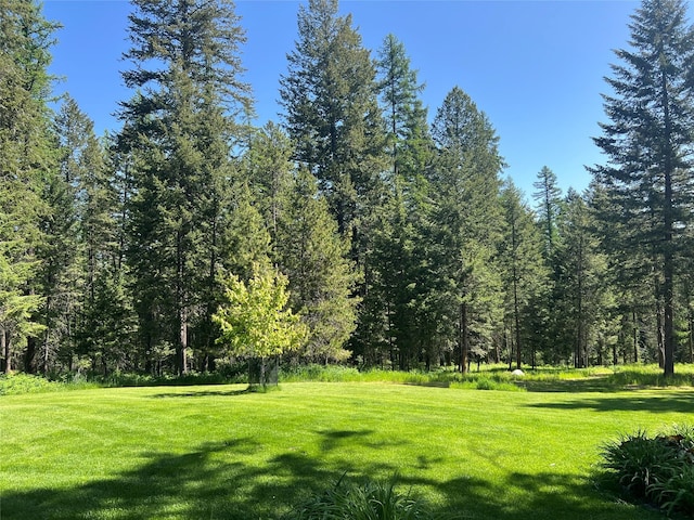 120 Chickadee Way, Whitefish, MT 59937 - view of grassy yard featuring a wooded view