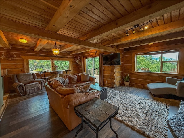 23254 Dayton Creek Rd, Proctor, MT 59929 - living area featuring a wood ceiling with exposed beams, hardwood / wood-style floors, plenty of natural light, rail lighting, and wood walls