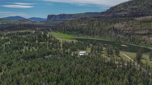 23254 Dayton Creek Rd, Proctor, MT 59929 - mountain view featuring a heavily wooded area