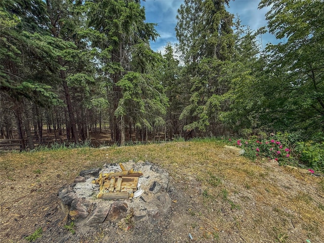 23254 Dayton Creek Rd, Proctor, MT 59929 - view of yard featuring a forest view