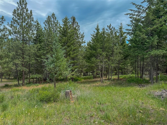 23254 Dayton Creek Rd, Proctor, MT 59929 - view of tree filled area