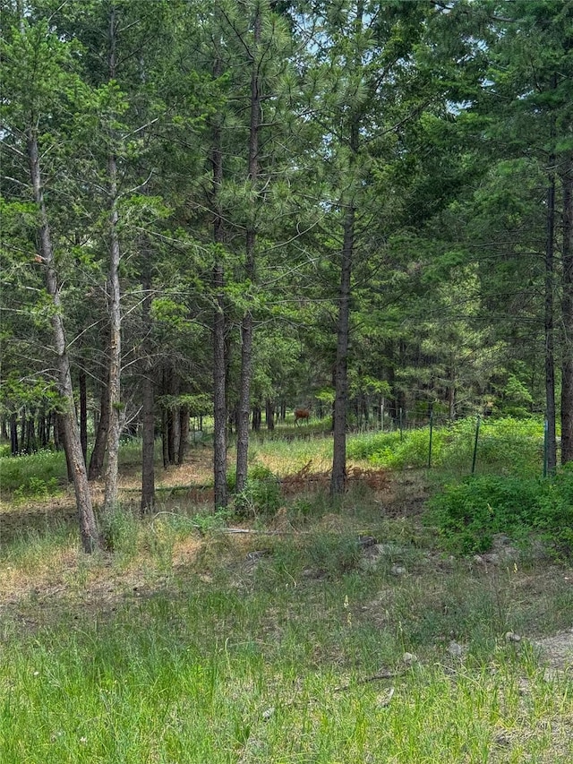23254 Dayton Creek Rd, Proctor, MT 59929 - view of tree filled area