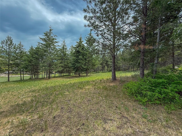 23254 Dayton Creek Rd, Proctor, MT 59929 - view of yard