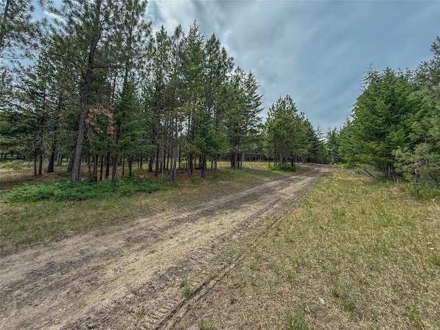 23254 Dayton Creek Rd, Proctor, MT 59929 - view of street with a view of trees