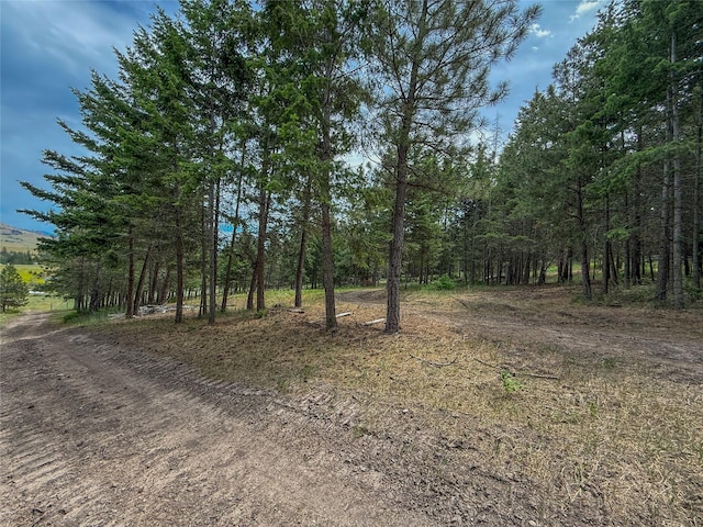 23254 Dayton Creek Rd, Proctor, MT 59929 - view of undeveloped land
