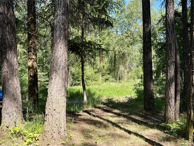 1143 Jellison Rd 1139, Columbia Falls, MT 59912