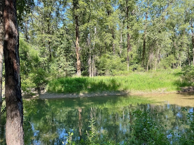 1143 Jellison Rd 1139, Columbia Falls, MT 59912