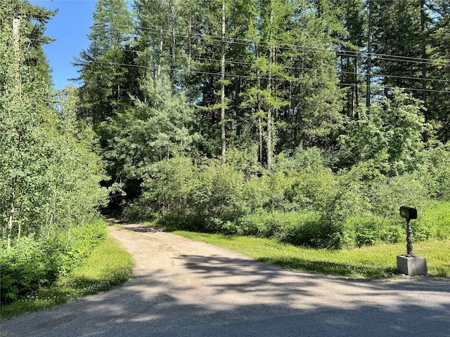 1143 Jellison Rd 1139, Columbia Falls, MT 59912