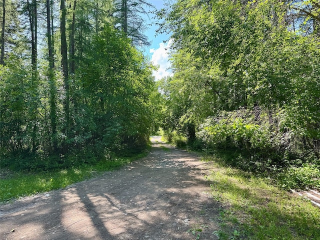 1143 Jellison Rd 1139, Columbia Falls, MT 59912