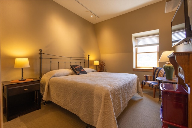 62 S Last Chance Gulch Gulch Unit 5, Helena, MT 59601 - carpeted bedroom featuring lofted ceiling and track lighting