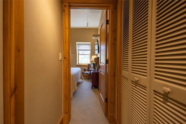 62 S Last Chance Gulch Gulch Unit 5, Helena, MT 59601 - hall featuring carpet floors and a textured ceiling