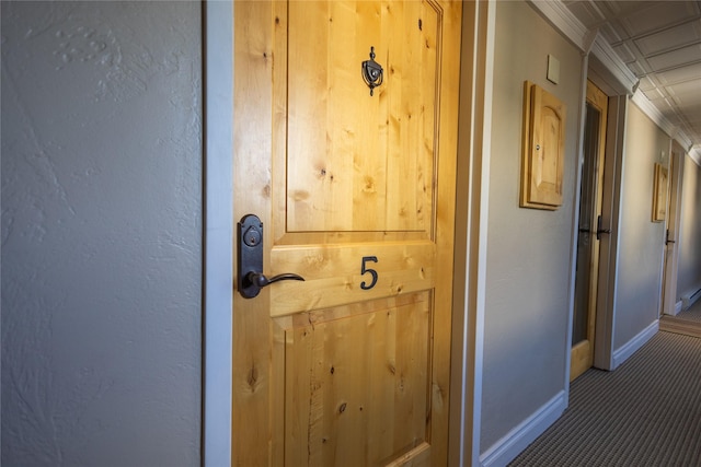 62 S Last Chance Gulch Gulch Unit 5, Helena, MT 59601 - detailed view of carpet flooring and ornamental molding