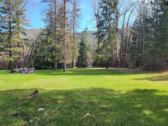 74 Cedar Crk, Libby, MT 59923 - view of green lawn with a view of trees