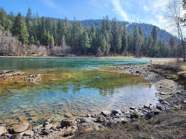 74 Cedar Crk, Libby, MT 59923 - water view with a heavily wooded area
