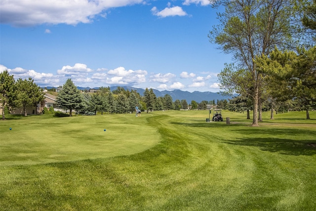 237 W Nicklaus Ave, Kalispell, MT 59901 - view of home's community featuring golf course view, a mountain view, and a yard
