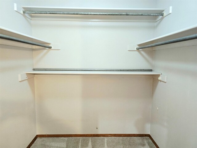 1401 Park Garden Rd, Great Falls, MT 59404 - walk in closet featuring carpet flooring
