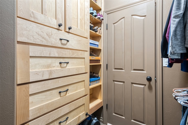 467 Ridgeway Dr, Lolo, MT 59847 - view of walk in closet