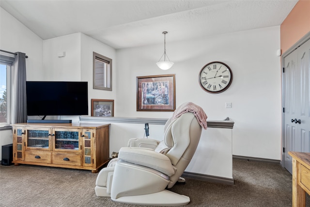 467 Ridgeway Dr, Lolo, MT 59847 - living room featuring carpet floors