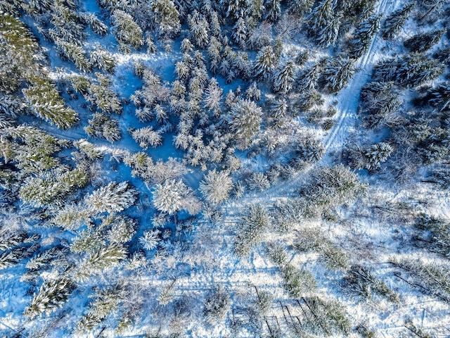 11315 US Highway 2 E, West Glacier, MT 59936
