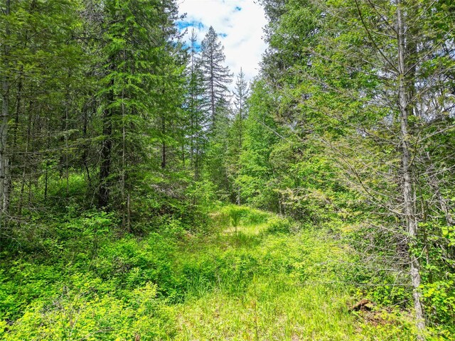 11315 US Highway 2 E, West Glacier, MT 59936