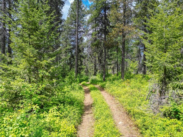 11315 US Highway 2 E, West Glacier, MT 59936