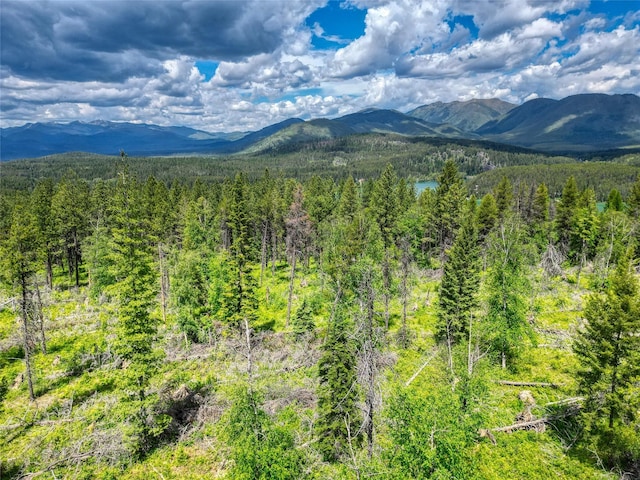 11315 US Highway 2 E, West Glacier, MT 59936
