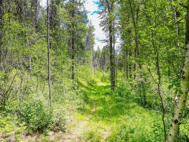 11315 US Highway 2 E, West Glacier, MT 59936