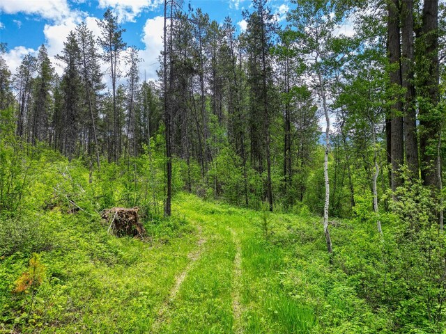 11315 US Highway 2 E, West Glacier, MT 59936