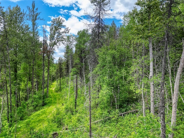 11315 US Highway 2 E, West Glacier, MT 59936