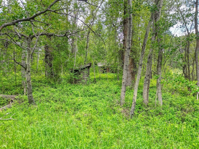 11315 US Highway 2 E, West Glacier, MT 59936
