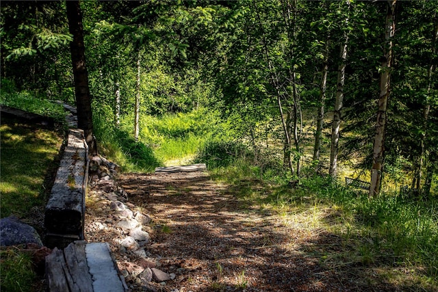 28578 Wapiti Ln, Bigfork, MT 59911 - view of woods