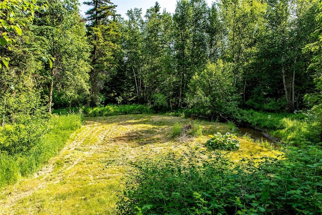 28578 Wapiti Ln, Bigfork, MT 59911 - view of woods