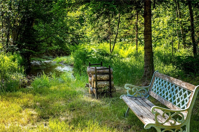 28578 Wapiti Ln, Bigfork, MT 59911 - view of community