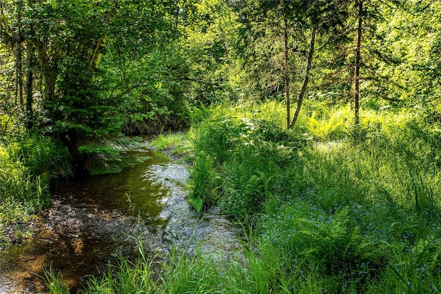 28578 Wapiti Ln, Bigfork, MT 59911 - view of nature