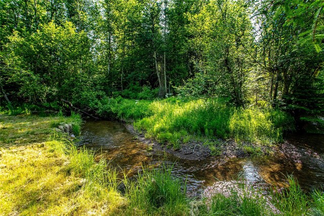 28578 Wapiti Ln, Bigfork, MT 59911 - view of undeveloped land