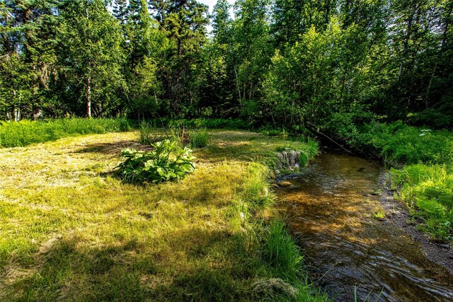 28578 Wapiti Ln, Bigfork, MT 59911 - view of local wilderness
