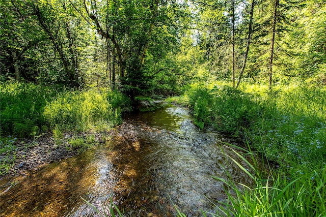 28578 Wapiti Ln, Bigfork, MT 59911 - water view featuring a forest