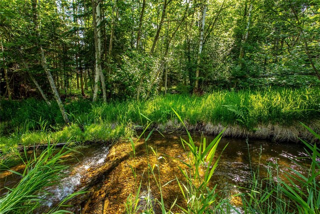 28578 Wapiti Ln, Bigfork, MT 59911 - view of undeveloped land