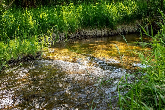 28578 Wapiti Ln, Bigfork, MT 59911 - view of local wilderness