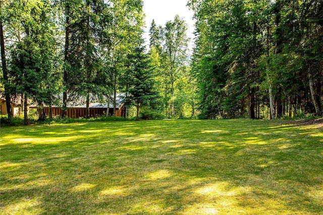 28578 Wapiti Ln, Bigfork, MT 59911 - view of green lawn