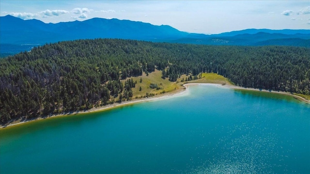 NHN Ray Flanagan Ln, Eureka, MT 59917