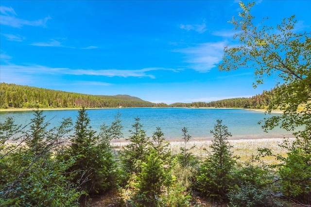 NHN Ray Flanagan Ln, Eureka, MT 59917